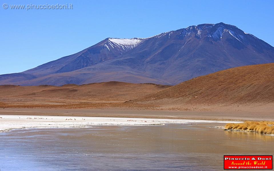 BOLIVIA 2 - Ruta de Las Joyas - Laguna Hedionda - 21.jpg